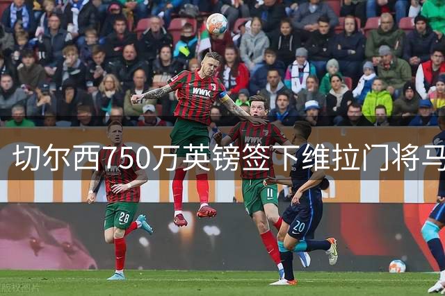 切尔西750万英镑签下维拉门将马丁内斯