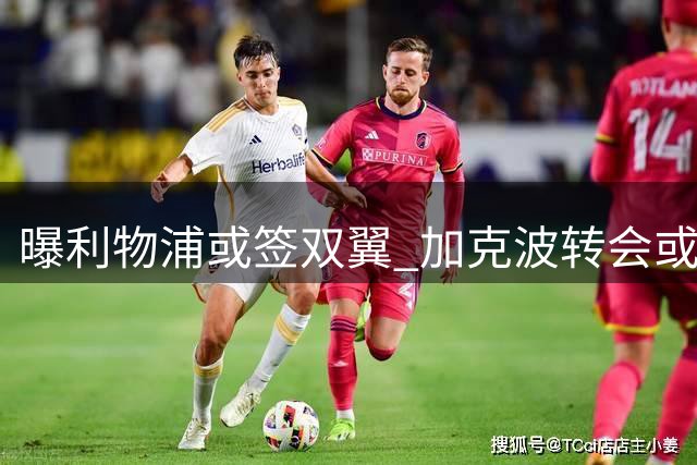 曝利物浦或签双翼 加克波转会或促引援加速